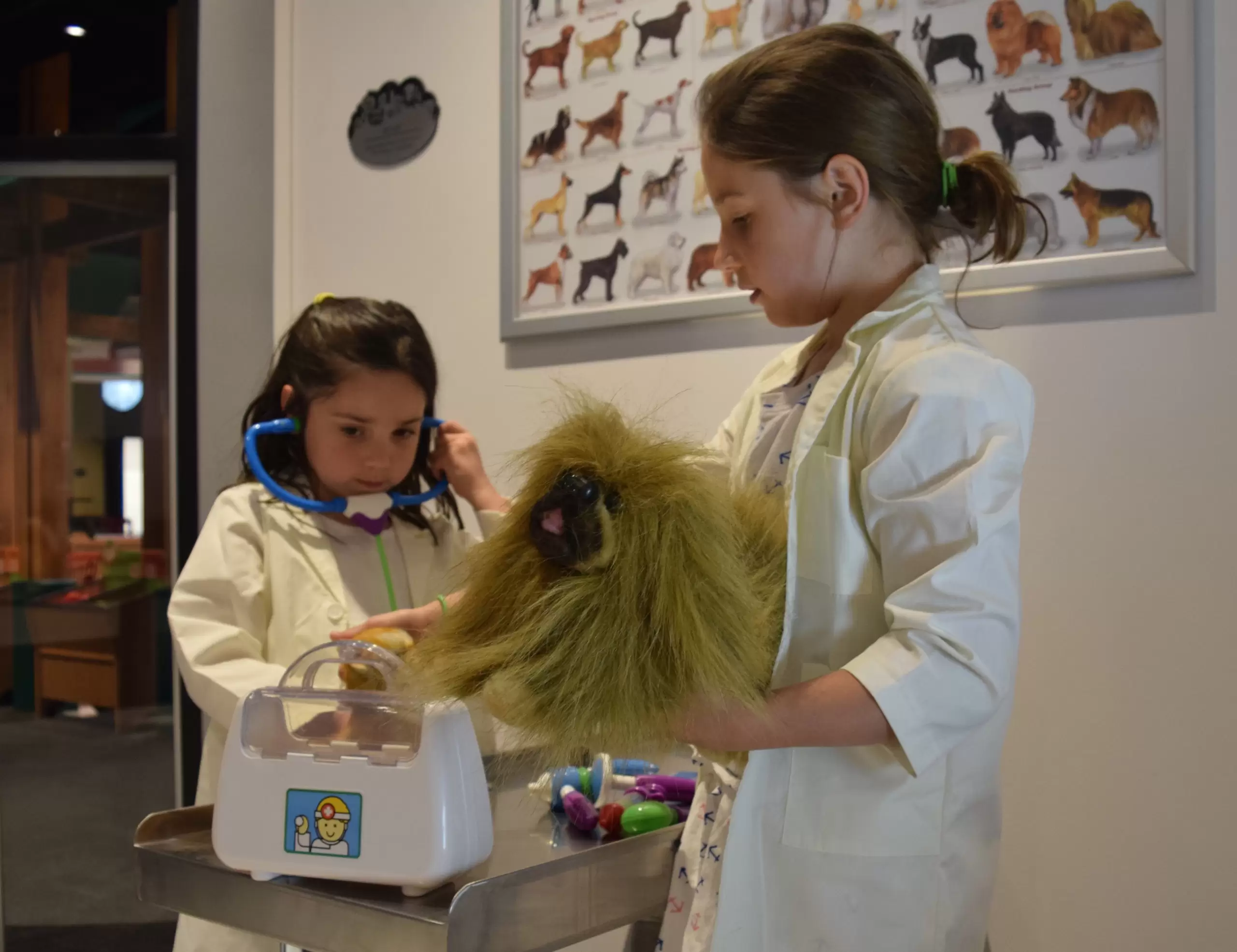 McWane Science Center looks to future as Itty Bitty Magic City turns 1