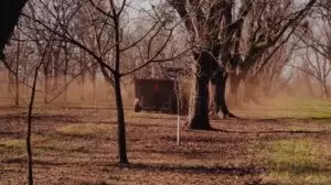 Alabama food products industry